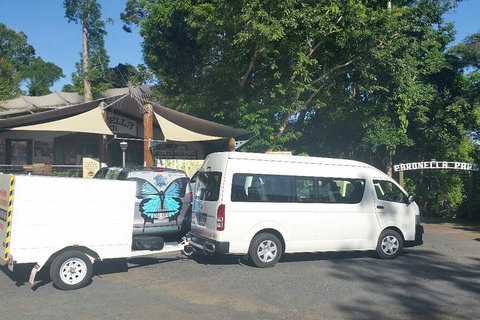 Airport Transfer To Or From Cairns Hotels For Up To 13 People - Accommodation Southport 4