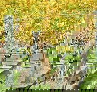 Margaret River Indulge and Discover Day Tour - Southport Accommodation