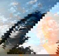 Hinterland Magic  Glow-worm Experience - Accommodation Southport