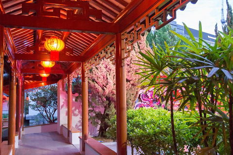 Chinese Garden General Admission Ticket - Southport Accommodation 4