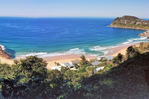 Manly & Sydney's Northern Beaches With 'Personalised Sydney Tours' - Southport Accommodation 2