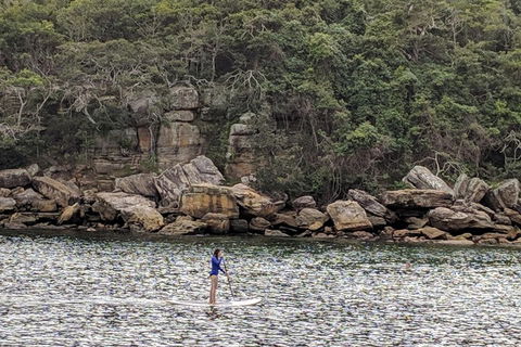 Manly & Sydney's Northern Beaches With 'Personalised Sydney Tours' - Southport Accommodation 3