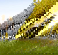 2-Day Private Daylesford  Macedon Ranges Gourmet Food Trail Tour from Melbourne - Accommodation Southport