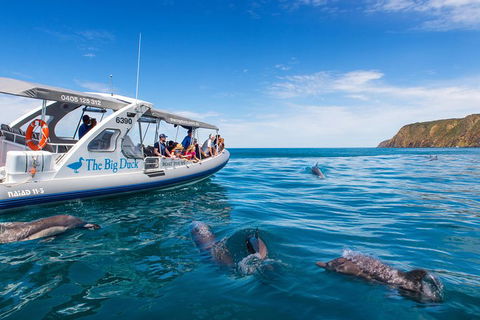 Victor Harbor And McLaren Vale Wine Region Day Tour - Southport Accommodation 1