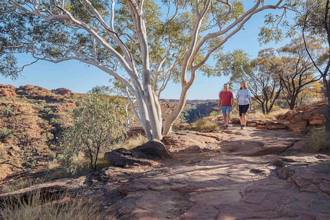 3-Day Tour From Uluru (Ayers Rock) To Alice Springs Via Kings Canyon - Southport Accommodation 1