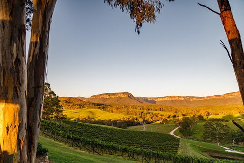 Taste Of The Blue Mountains - Lunch & Wine Tasting, Beer, Cider & Gin Tasting - Accommodation Southport 1