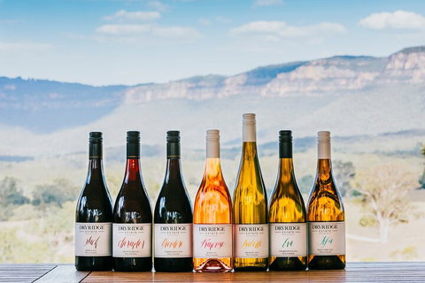 Taste Of The Blue Mountains - Lunch & Wine Tasting, Beer, Cider & Gin Tasting - Accommodation Southport 3