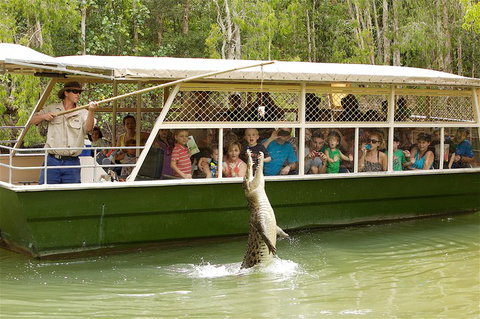 Hartley's Crocodile Adventure Half-Day Tour - Southport Accommodation 0
