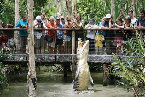 Hartley's Crocodile Adventure Half-Day Tour - Southport Accommodation 1