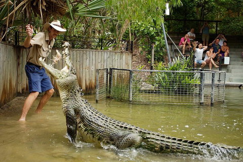 Hartley's Crocodile Adventure Half-Day Tour - Southport Accommodation 2