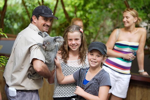Hartley's Crocodile Adventure Half-Day Tour - Southport Accommodation 3