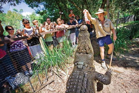 Hartley's Crocodile Adventure Half-Day Tour - Southport Accommodation 4