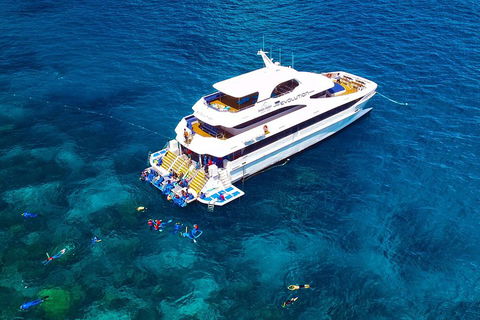 Great Barrier Reef Snorkeling And Diving Cruise From Cairns - Southport Accommodation 5