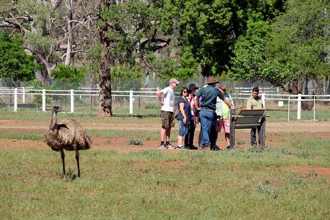Yura Udnyu - Our Culture, Your Culture (Aboriginal Cultural Walk) - Accommodation Southport 1