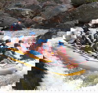 Barron River Half-Day White Water Rafting from Cairns - Accommodation Southport