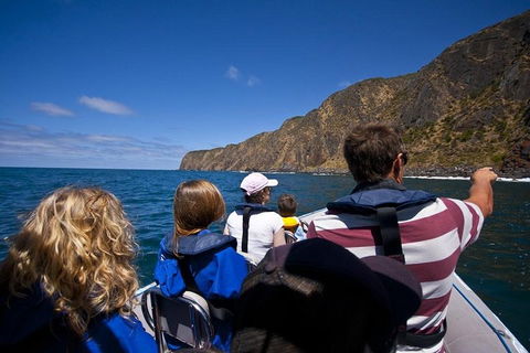 Seal Island Boat Tour From Victor Harbor - Southport Accommodation 0