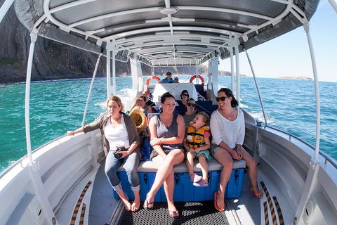Seal Island Boat Tour From Victor Harbor - Southport Accommodation 1