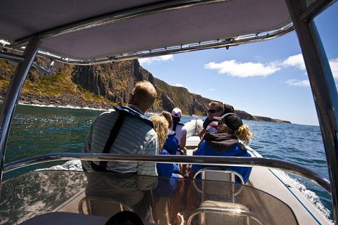 Seal Island Boat Tour From Victor Harbor - Southport Accommodation 2