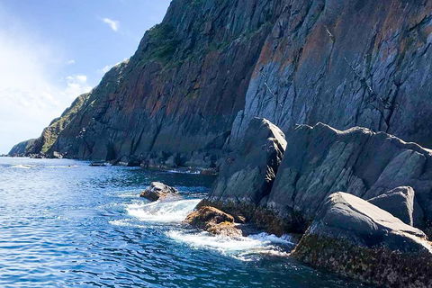 Southern Ocean Adventure From Victor Harbor - Southport Accommodation 3