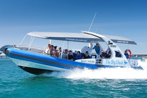 Southern Ocean Adventure From Victor Harbor - Southport Accommodation 5