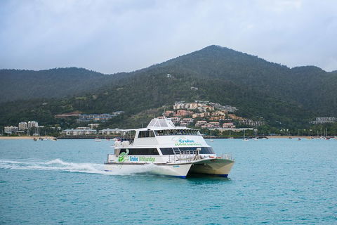 Whitsunday Islands Hopper Pass - Southport Accommodation 4