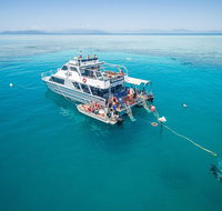 Ocean Freedom Great Barrier Reef Personal Luxury Snorkel  Dive Cruise Cairns - Southport Accommodation