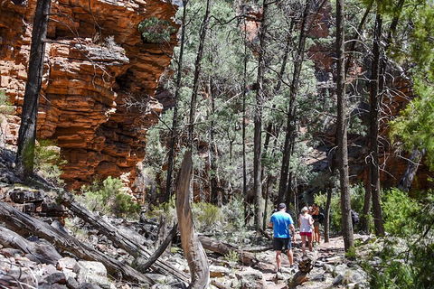 6-Day Eyre Peninsula & Flinders Ranges Adventure Tour - Southport Accommodation 5