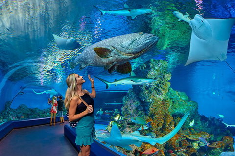 Cairns Aquarium Admission Ticket - Southport Accommodation 3
