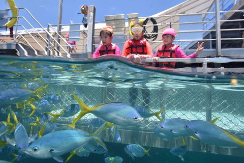 Outer Reef Pontoon Experience From Cairns - Southport Accommodation 0