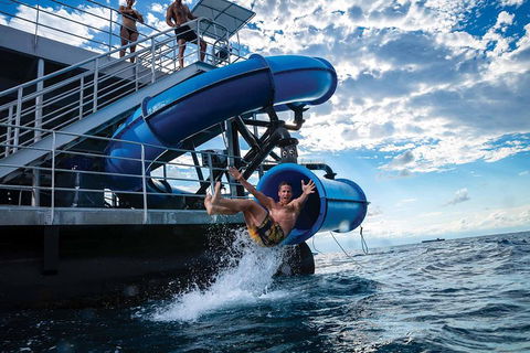 Outer Reef Pontoon Experience From Cairns - Southport Accommodation 3