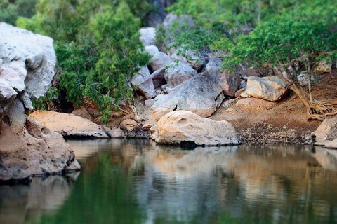 Windjana Gorge And Tunnel Creek 4WD Tour From Broome - Accommodation Southport 5