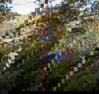 Hollybank Wilderness Adventure - Zipline Tours - Accommodation Southport