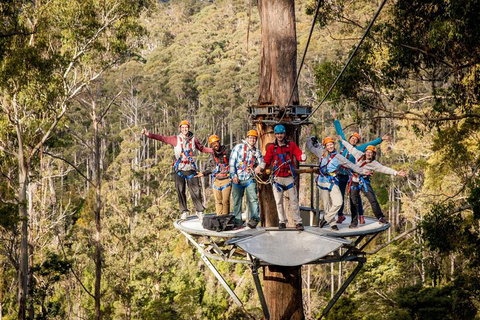 Hollybank Wilderness Adventure - Zipline Tours - Accommodation Southport 1