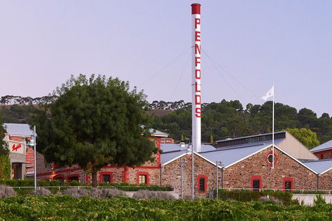 Ultimate Penfolds Magill Estate Experience - Southport Accommodation 3
