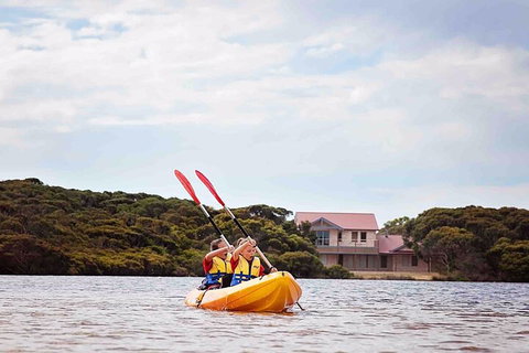 Kangaroo Island Self-Guided Kayaking On The Harriet River - Accommodation Southport 5