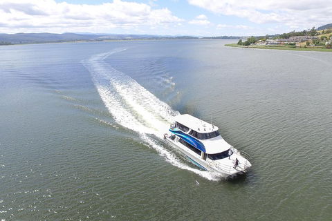2.5 Hour Morning Discovery Cruise Including Sailing Into The Cataract Gorge - Southport Accommodation 2