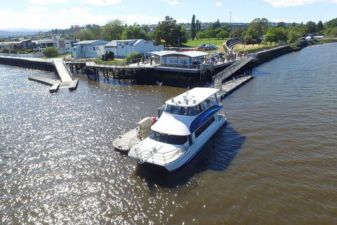2.5 Hour Morning Discovery Cruise Including Sailing Into The Cataract Gorge - Southport Accommodation 3