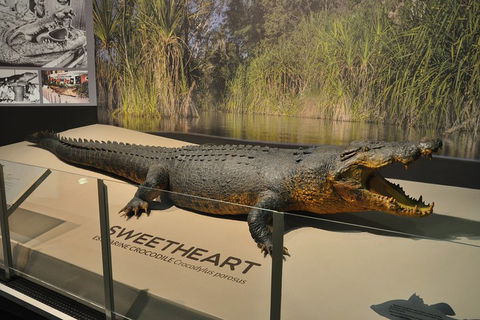 Explore Darwin City Sights Including Key Attractions - Southport Accommodation 2