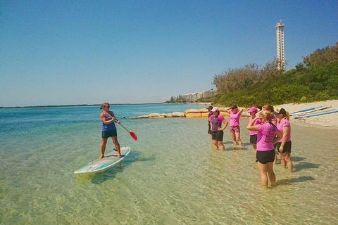 Golden Beach 1-Hour Stand-Up Paddleboard Hire On The Sunshine Coast - Southport Accommodation 1