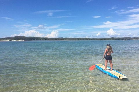 Golden Beach 1-Hour Stand-Up Paddleboard Hire On The Sunshine Coast - Southport Accommodation 4