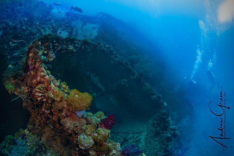 Scuba Dive The S.S. Yongala Wreck On The Great Barrier Reef. - Accommodation Southport 3