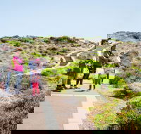 Margaret River Coastal and Wildlife Eco Trip from Busselton or Dunsborough - Accommodation Southport